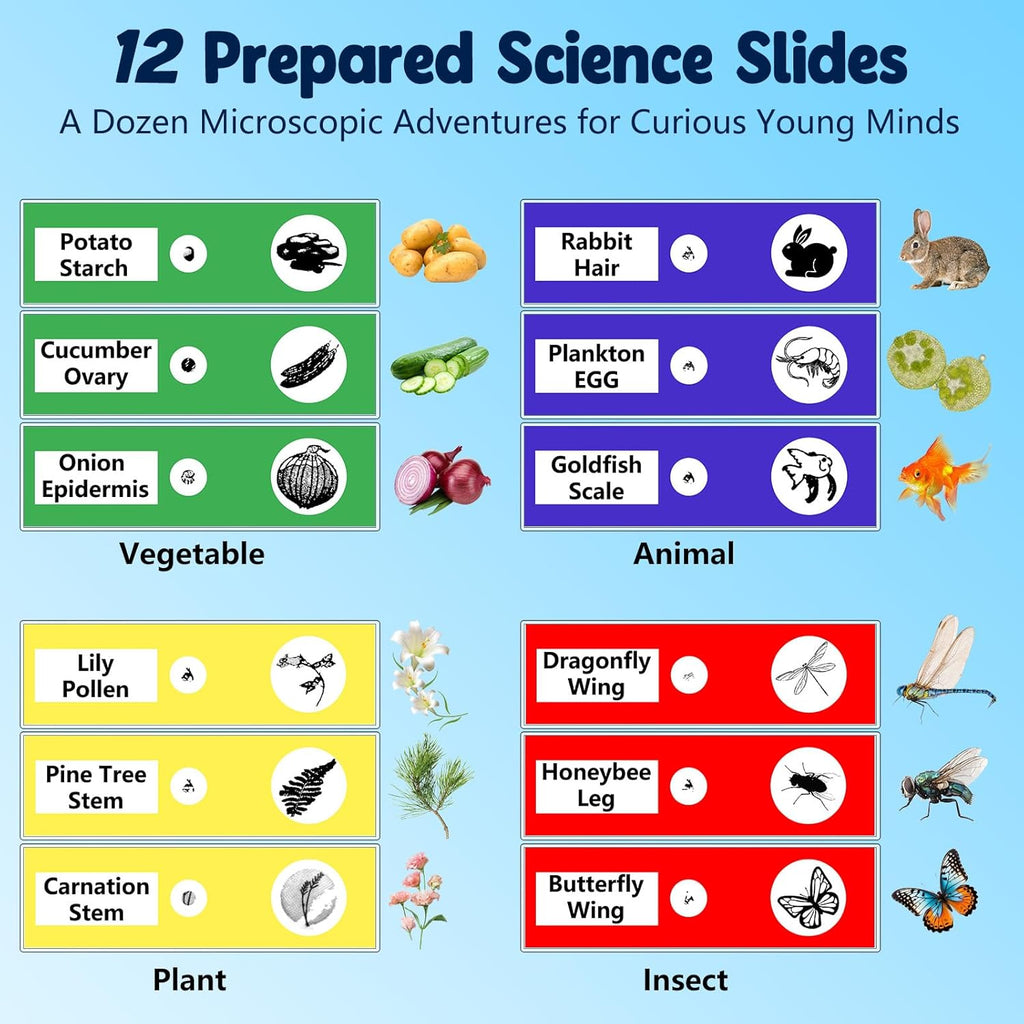 1000X Handheld Microscope for Kids